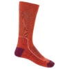 Icebreaker - Women's Hike+ Light Crew - Chaussettes De Randonnée 1 Icebreaker - Women's Hike+ Light Crew - Chaussettes De Randonnée -Sport Chaussettes Magasin icebreaker womens hike light crew chaussettes de randonnee bf
