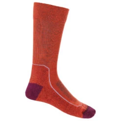 Icebreaker - Women's Hike+ Light Crew - Chaussettes De Randonnée -Sport Chaussettes Magasin icebreaker womens hike light crew chaussettes de randonnee bf 3