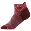 Ortovox - Women's Alpine Light Low Socks - Chaussettes En Laine Mérinos 1 Ortovox - Women's Alpine Light Low Socks - Chaussettes En Laine Mérinos -Sport Chaussettes Magasin ortovox womens alpine light low socks chaussettes en laine merinos